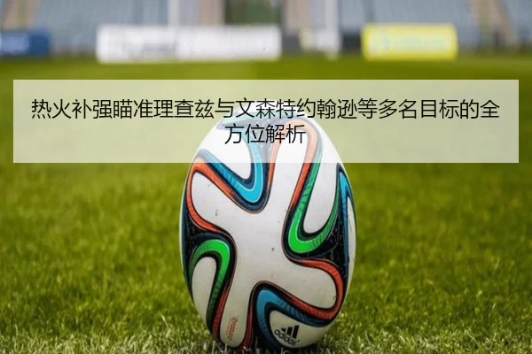 热火补强瞄准理查兹与文森特约翰逊等多名目标的全方位解析